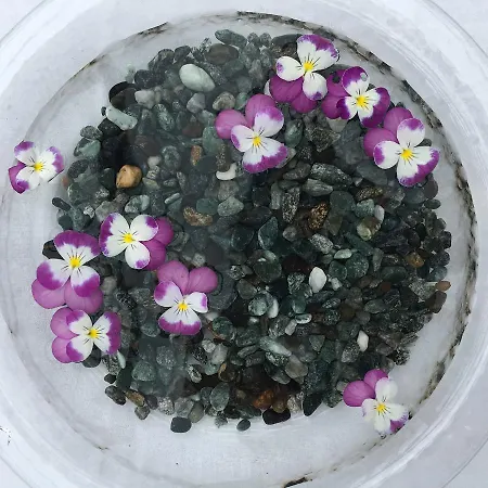 Lodge Huebeli Lodge